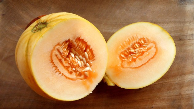 Muskmelon